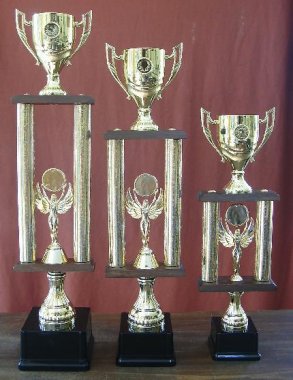 Trofeos Combinados