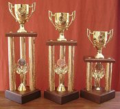 Trofeos metalizados