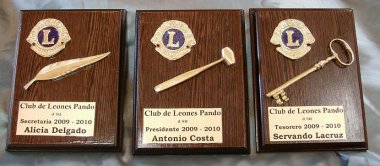 Plaquetas Especiales